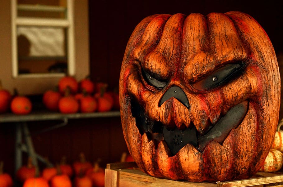 indoors, pumpkin, celebration, fear Free HD Wallpaper