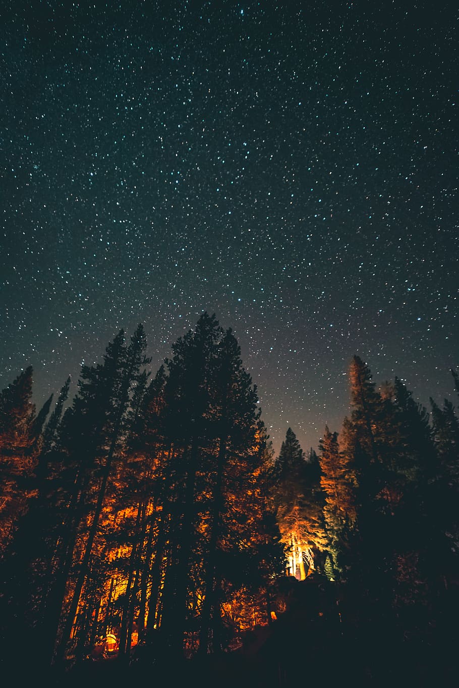 iPhone 11 Pro Max, nebula, yosemite, forest, adventure Free HD Wallpaper