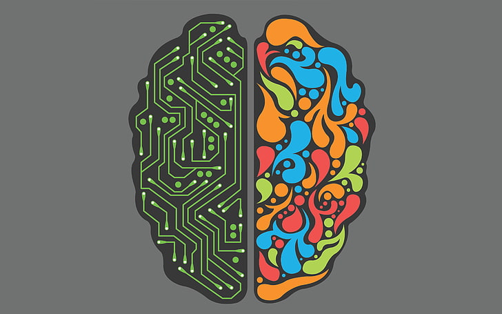 Left V Right Brain, human nervous system, thinking, indoors, part of Free HD Wallpaper