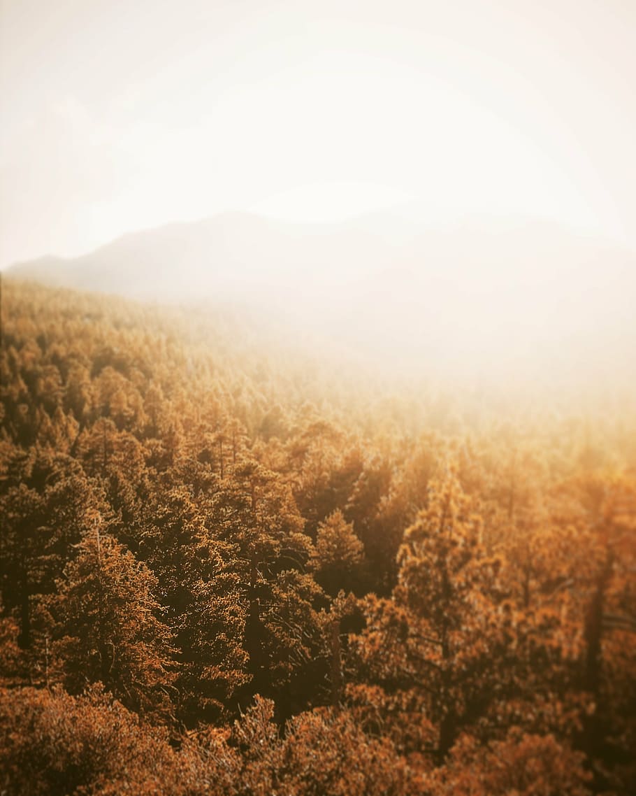 mountains, outdoors, gradient, sun