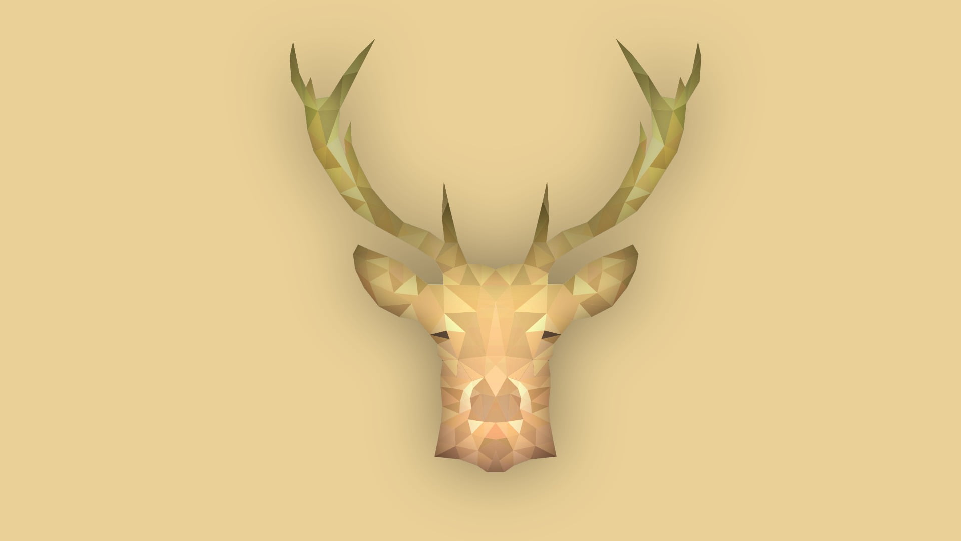 Mounted Deer Head, decoration, animal head, single object, taxidermy