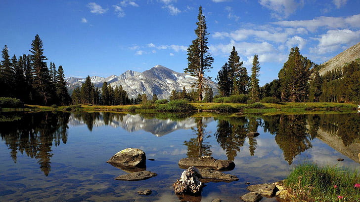 Nature Yosemite National Park, park, landscapes, yosemite, california