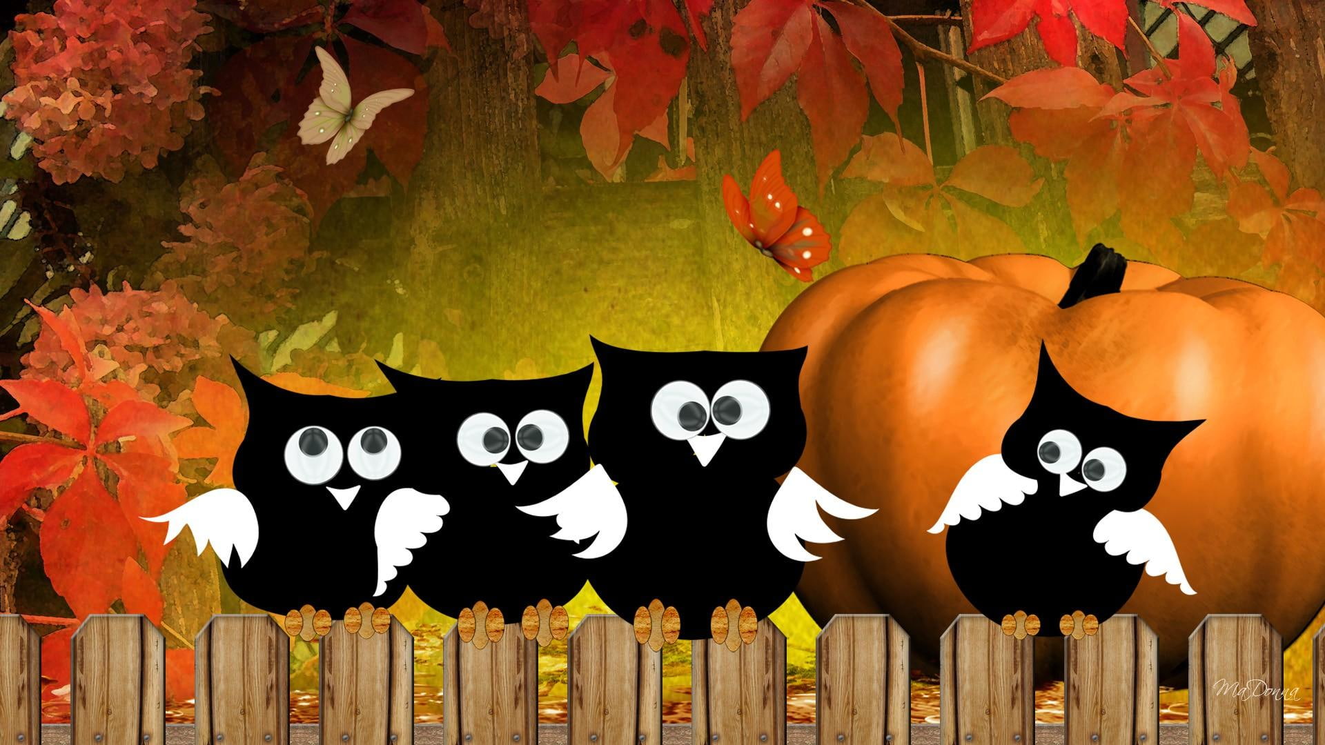 Owl Artwork, autumn, butterfly, whimsical, fall