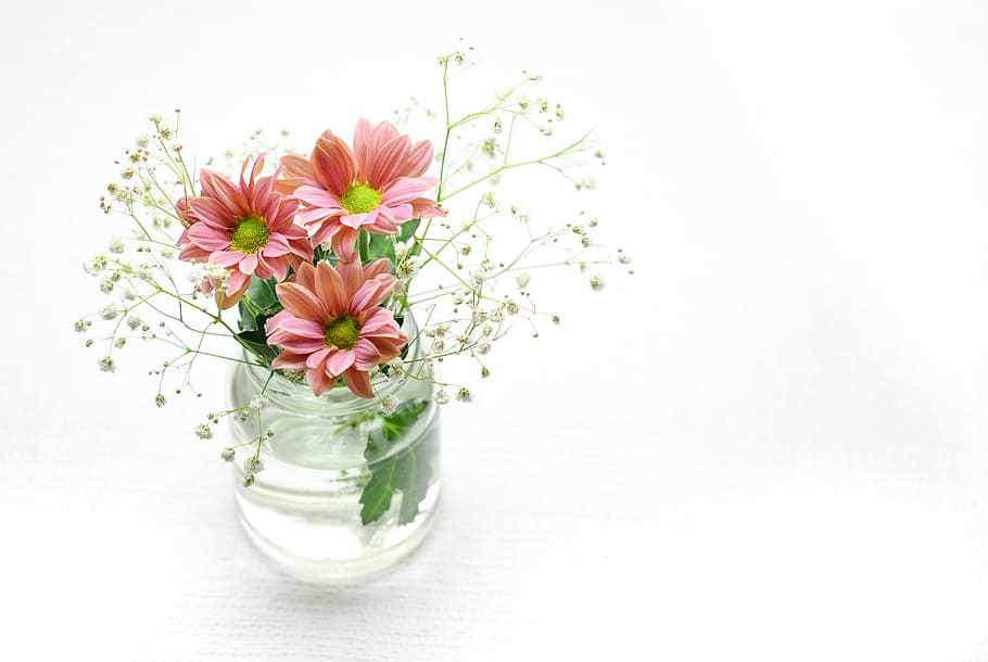 Pink Flower Heart, leaf, nature, pink color, indoors