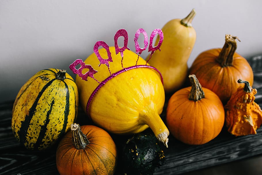 Pumpkin Planter, indoors, boo, halloween, wellbeing Free HD Wallpaper