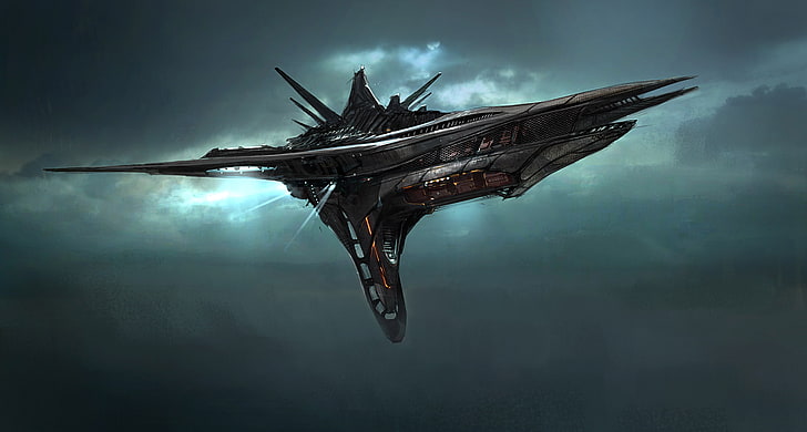 Ships of Star Citizen, sea, spaceship, outdoors, animal themes Free HD Wallpaper