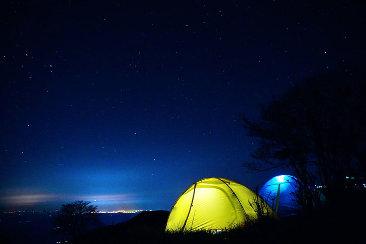 Starry Forest Night Sky, low angle view, space, twilight, astronomy