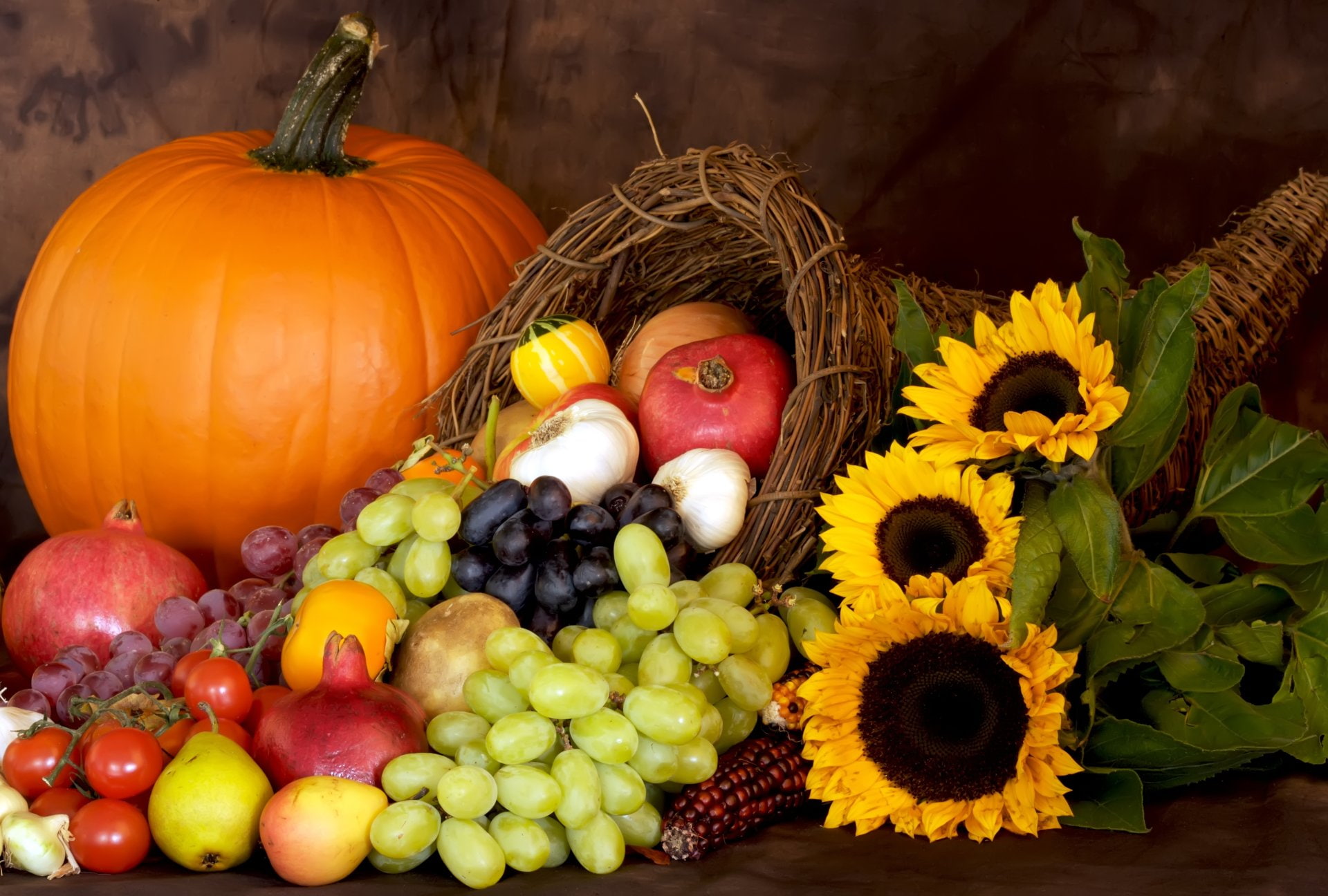 sunflower, pumpkin, fruit, photography
