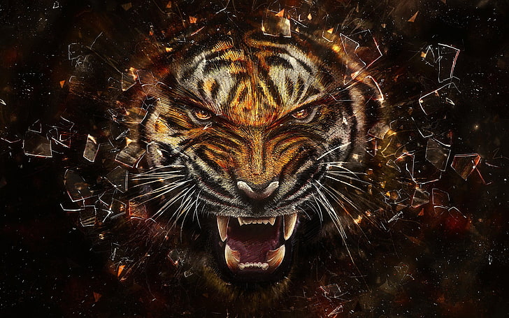 Tiger, feline, animals in the wild, teeth, face Free HD Wallpaper