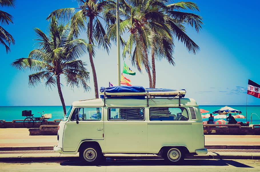 vehicle, nature, tropical climate, coconut palm tree