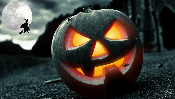 witch, pumpkin, ligh, spider Free HD Wallpaper