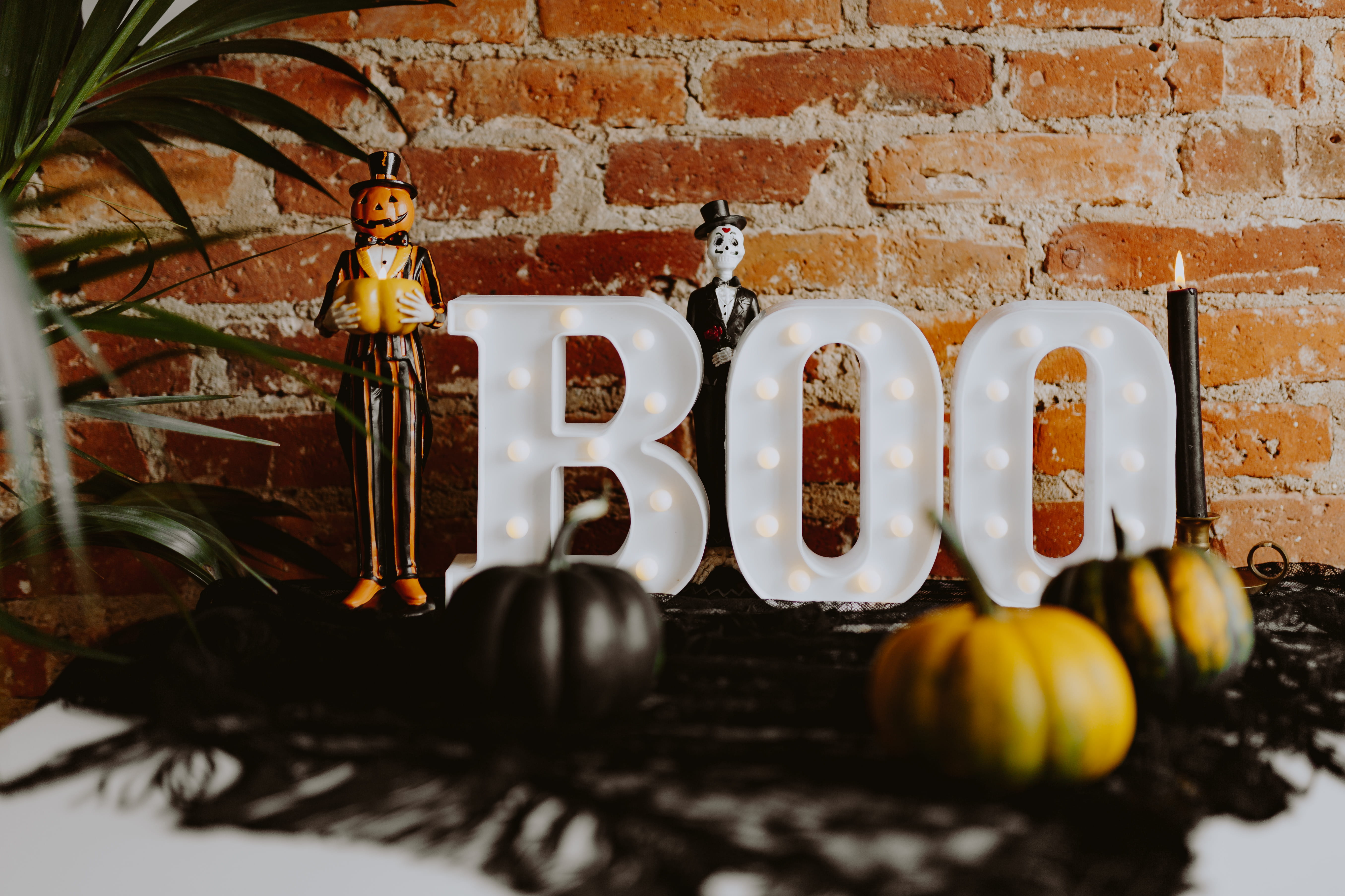Wood Pumpkins, nature, wellbeing, boo, fruit
