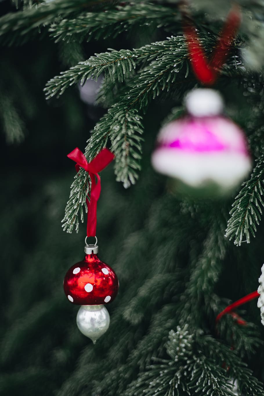 Christmas Cards, focus on foreground, no people, plant, christmas ornament