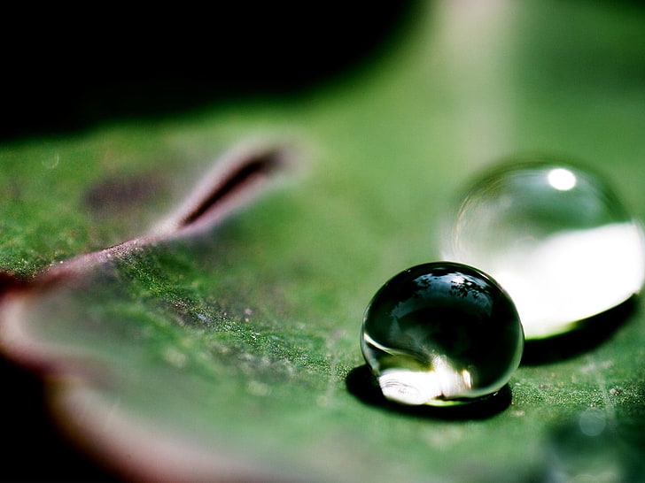 droplet, indoors, shiny, rain Free HD Wallpaper