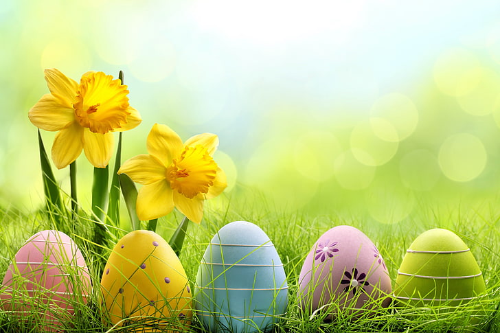 Easter Flowers, flowers, Easter, easter, spring Free HD Wallpaper