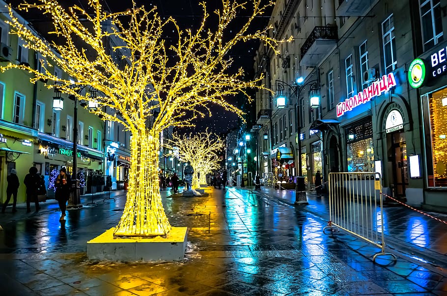 Exterior House Christmas Lights, illuminated, street, outdoors, downtown