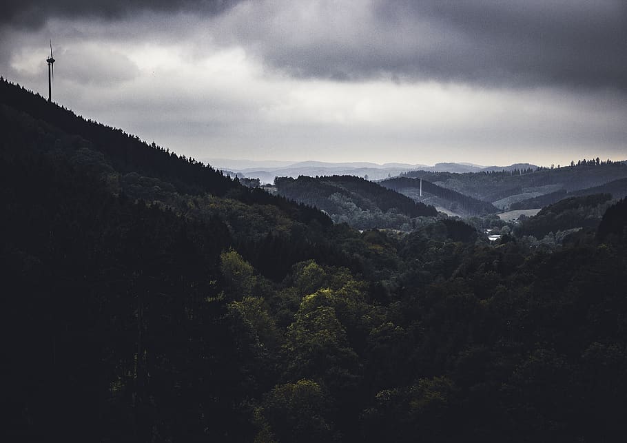 forest, drolshagen, bergneustadt, environment