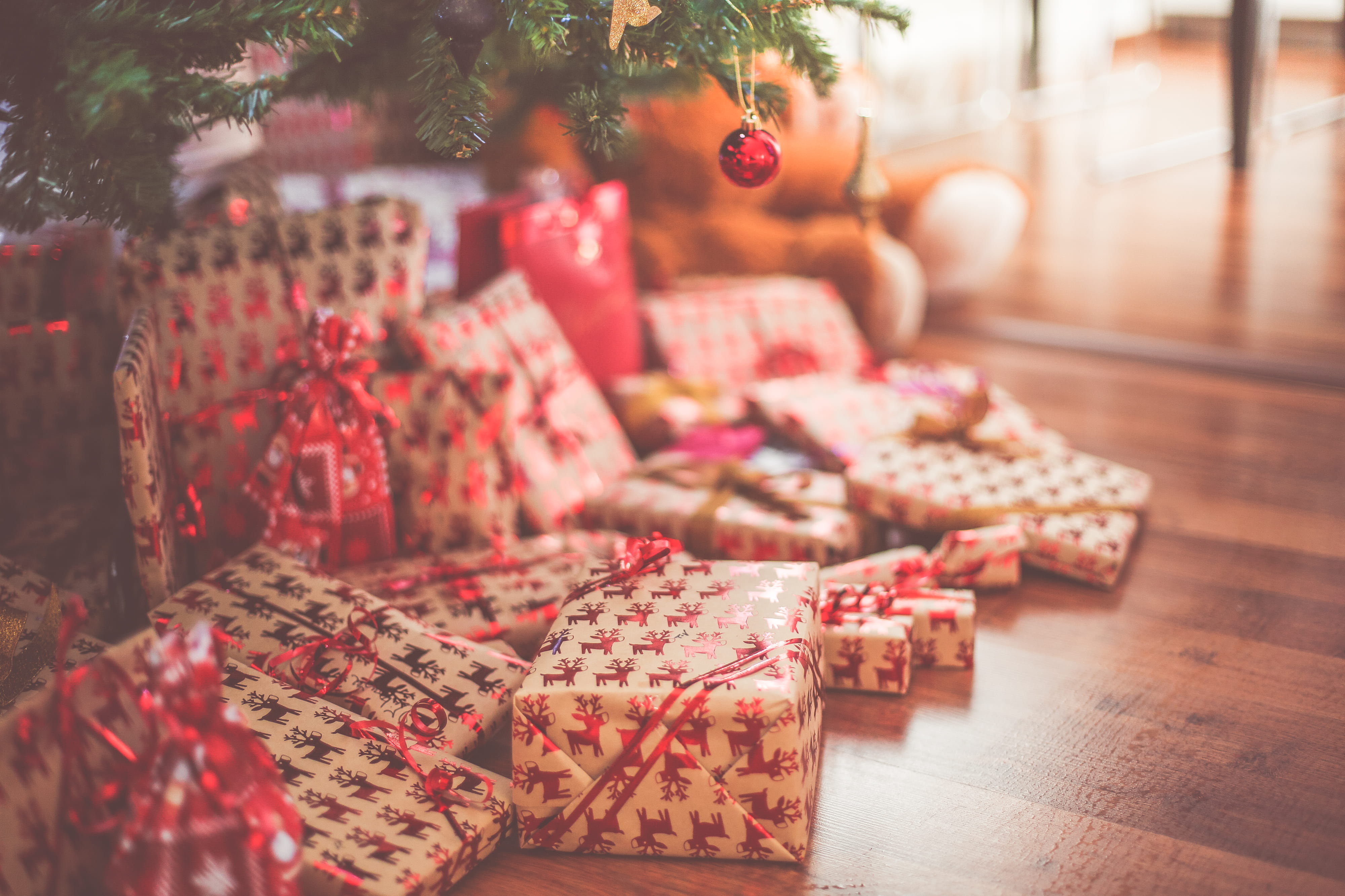 Full Christmas Tree, living room, large group of objects, no people, plant