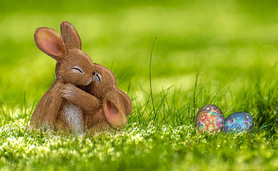 Happy Easter Day Quotes, happy easter, easter decoration, spring, small Free HD Wallpaper