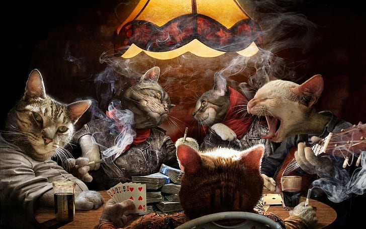 Helly Von Valentine Panther, poker,, cats, night, Night