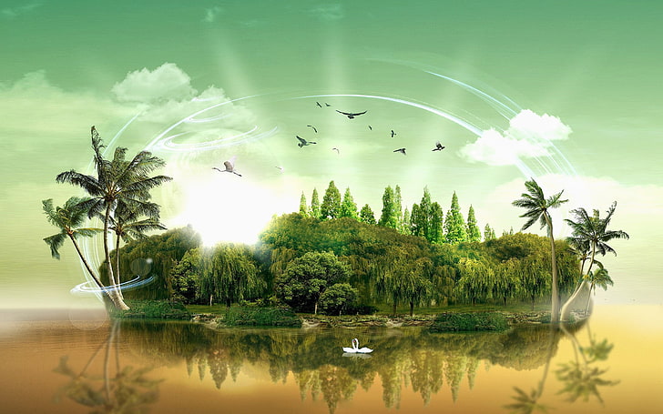 Maldives Island, beauty in nature, digital composite, palm tree, nature Free HD Wallpaper