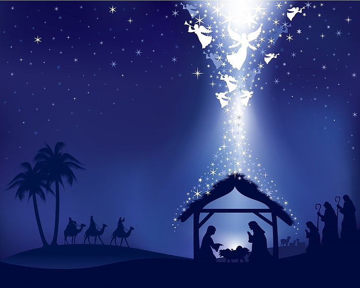 Manger Scene, tropical climate, firework, real people, night Free HD Wallpaper