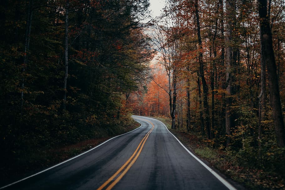 marking, double yellow line, sign, tranquility