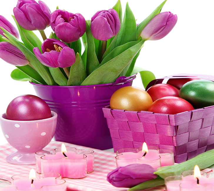 Purple Easter Flowers, isolated, flowering plant, no people, season Free HD Wallpaper