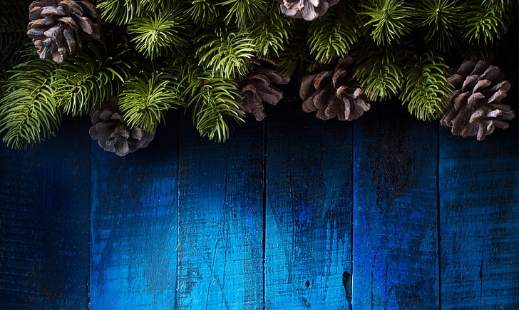 Round Christmas Frame, palm tree, built structure, plank, wood  material Free HD Wallpaper