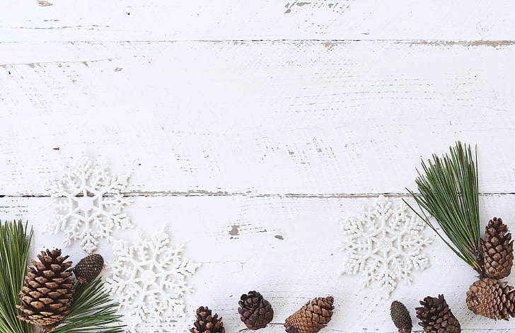 Rustic White Christmas Tree Ideas, no people, winter, plant, vegetable