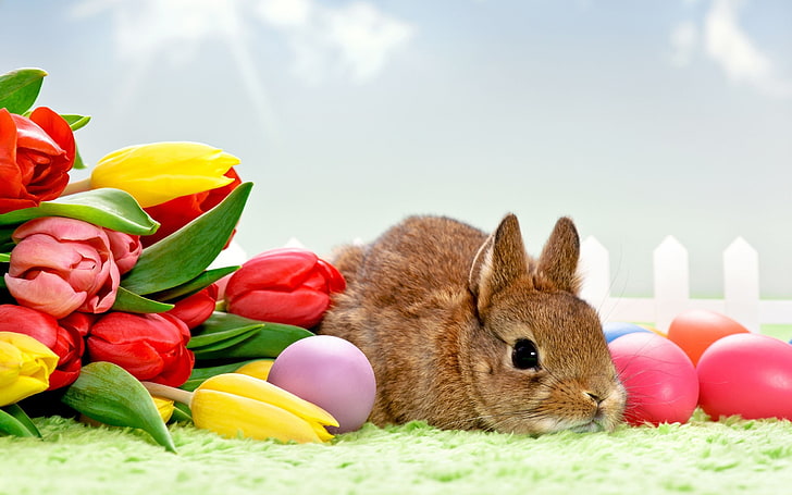 Spring Easter Bunny, no people, closeup, flower, easter Free HD Wallpaper