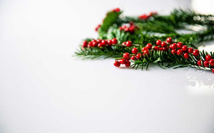 Transparent Christmas Holly, christmasbell, christmas ornament, christmas decoration, firtreegreen Free HD Wallpaper