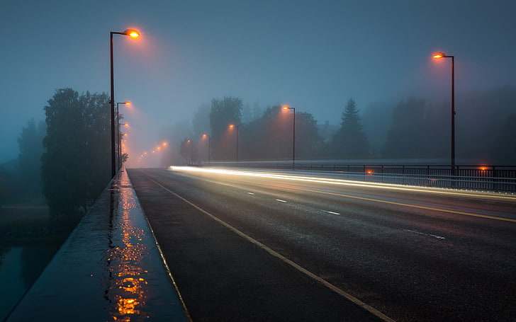 Trees at Night Street Light, multiple lane highway, city, nature, street light Free HD Wallpaper