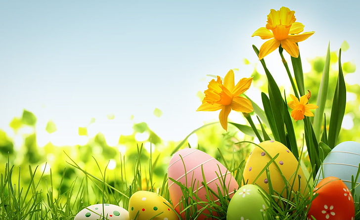 Beautiful Easter Cards, food, sky, clear sky, colorful Free HD Wallpaper