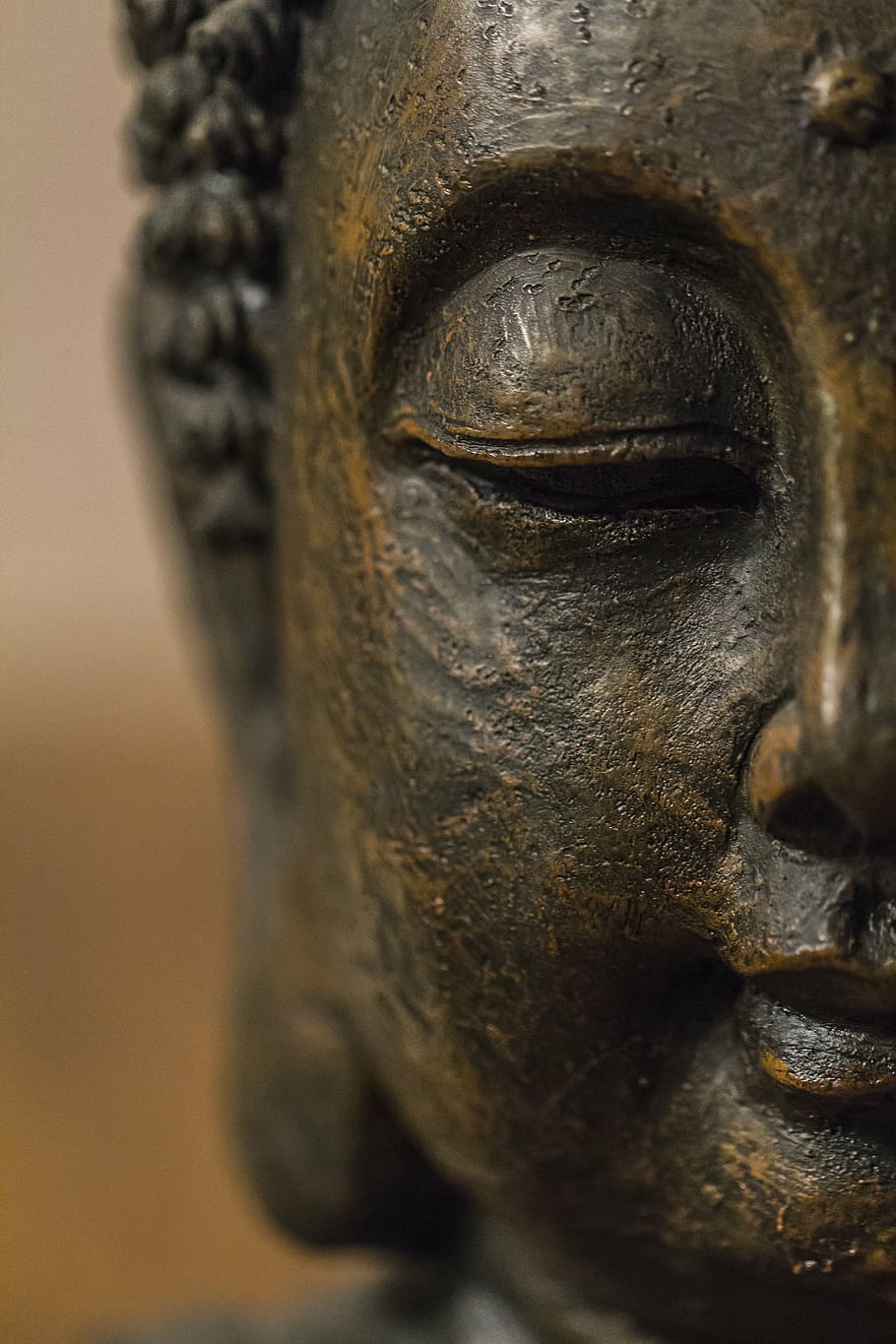 Bodhi Tree, belief, face, closeup, old