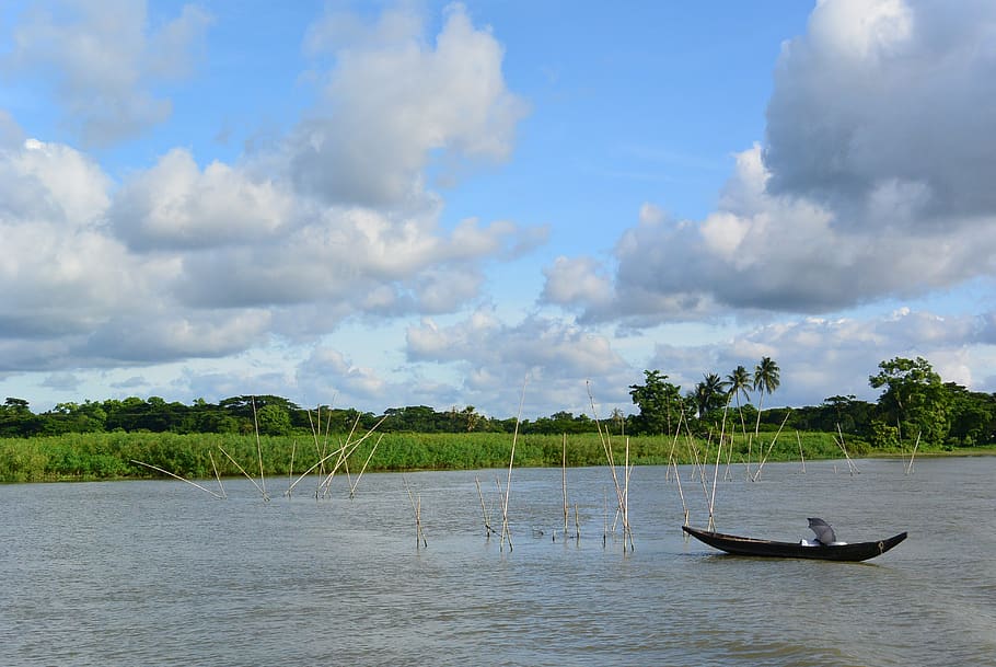 Chandpur, tree, anchored, beauty in nature, waterfront Free HD Wallpaper