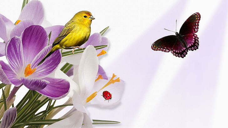 Chinoiserie with Birds, light, yellow, flowers, purple Free HD Wallpaper
