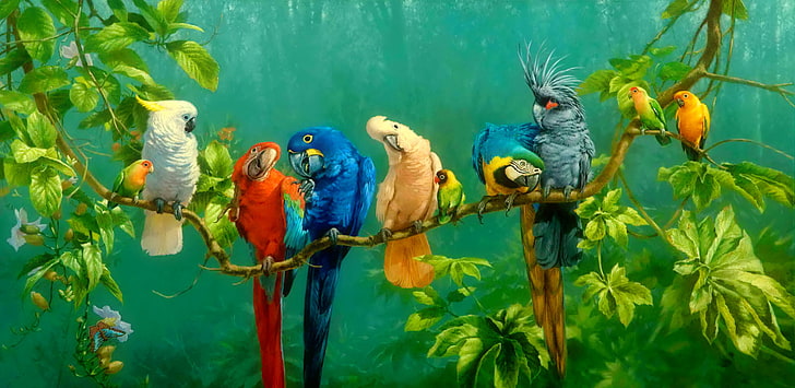 Cute Birds Singing, jungle, macaw, colorful, perching Free HD Wallpaper