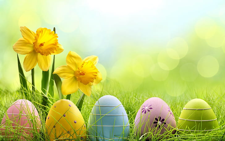 Easter Egg Photography, cute, Cute, Easter, Eggs Free HD Wallpaper