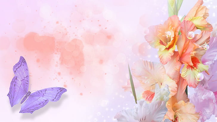 Lavender Colour, abstract, papillon, spring, natu Free HD Wallpaper