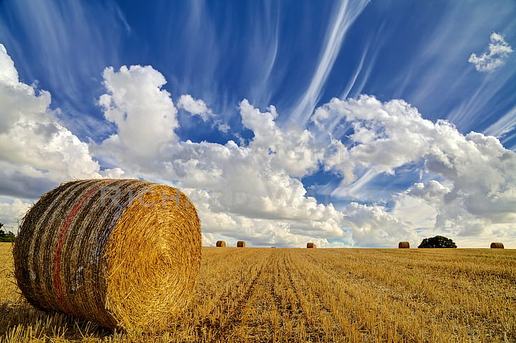 Paintings of Hay Bales, gold colored, outdoors, scene, yellow Free HD Wallpaper