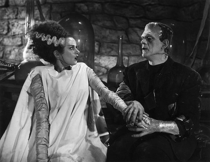 the bride of frankenstein, movie, bride of frankenstein Free HD Wallpaper