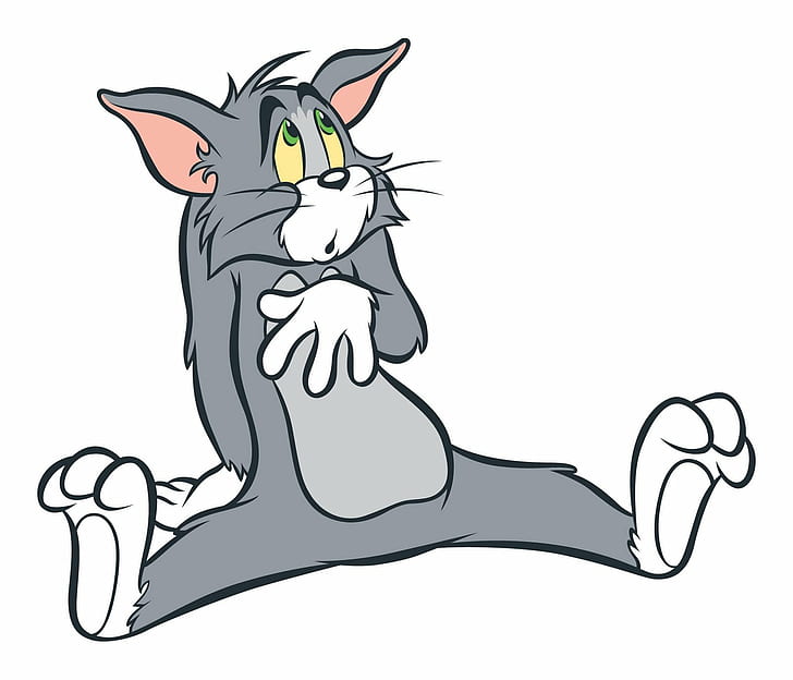 Tom and Jerry Orange Cat, tom, jerry, comedy, 1tomjerry Free HD Wallpaper