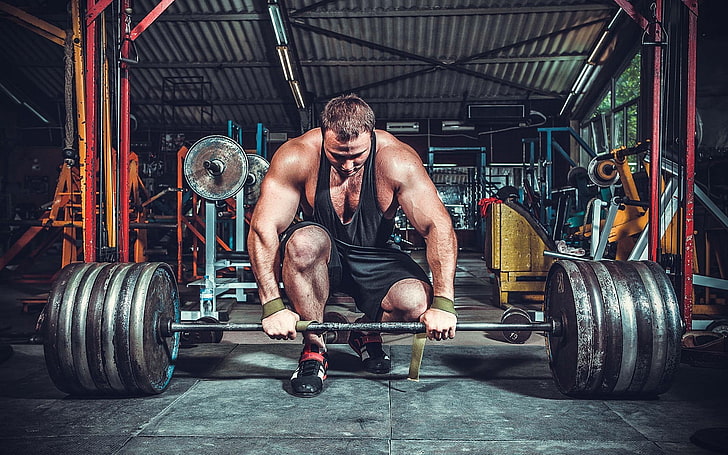 Barbell Deadlift Muscles, bicep, people, healthy lifestyle, sports training Free HD Wallpaper