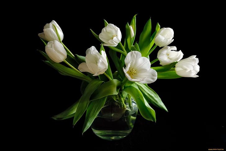 Black and White Rose, wonderful, flowers, love, arrangement Free HD Wallpaper