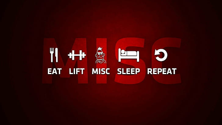 Eat Sleep Repeat, sleep, eat, repeat, misc Free HD Wallpaper