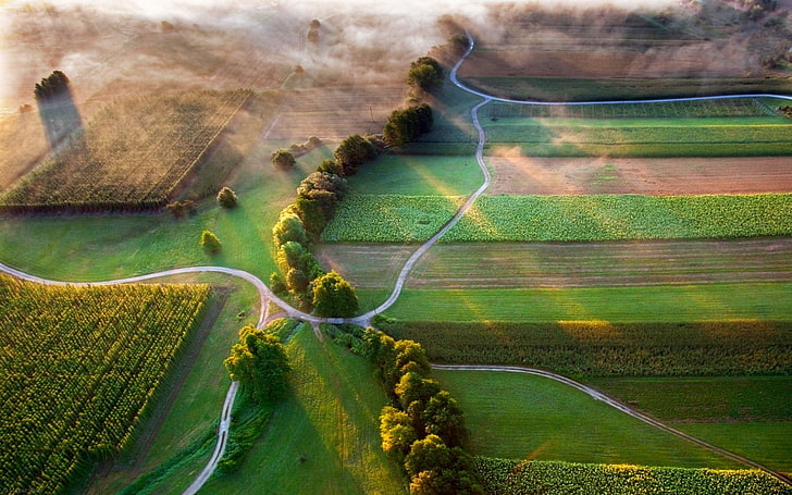 Grass Field Birds Eye View, crop, farm, scenics, cereal plant Free HD Wallpaper