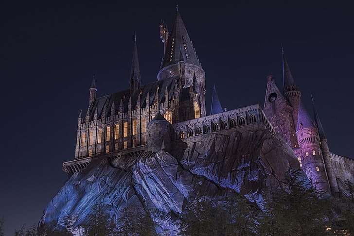 Hogwarts Castle Universal Orlando, trees, built structure, illuminated, outdoors Free HD Wallpaper