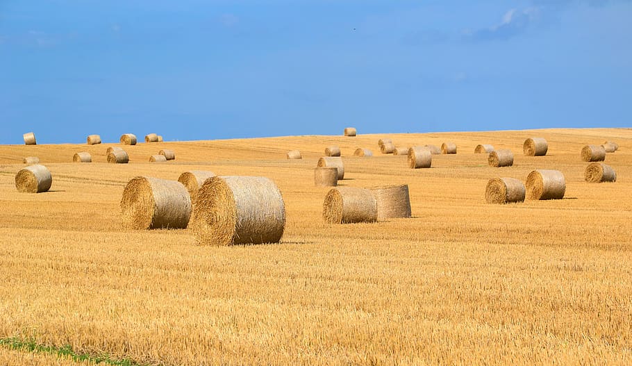 How to Draw a Hay Bale, landscape, snow, tranquility, harvesting Free HD Wallpaper