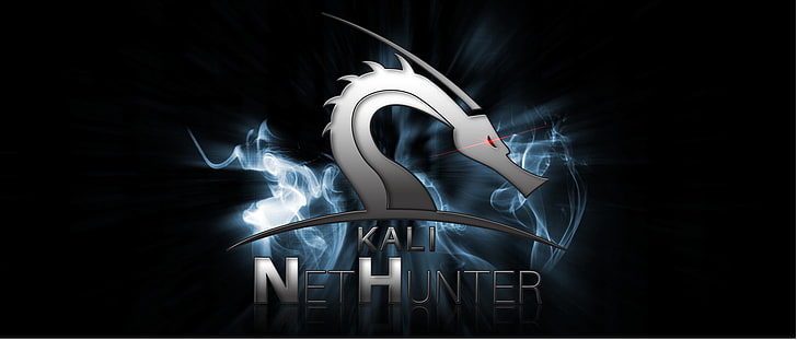 Linux Distributions, linux, pattern, nature, kali linux nethunter Free HD Wallpaper